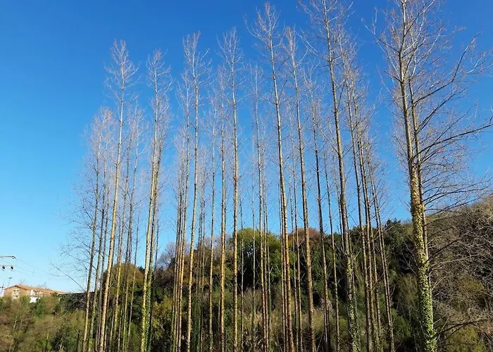 Playa Surf Pintxos Que Mas Διαμέρισμα